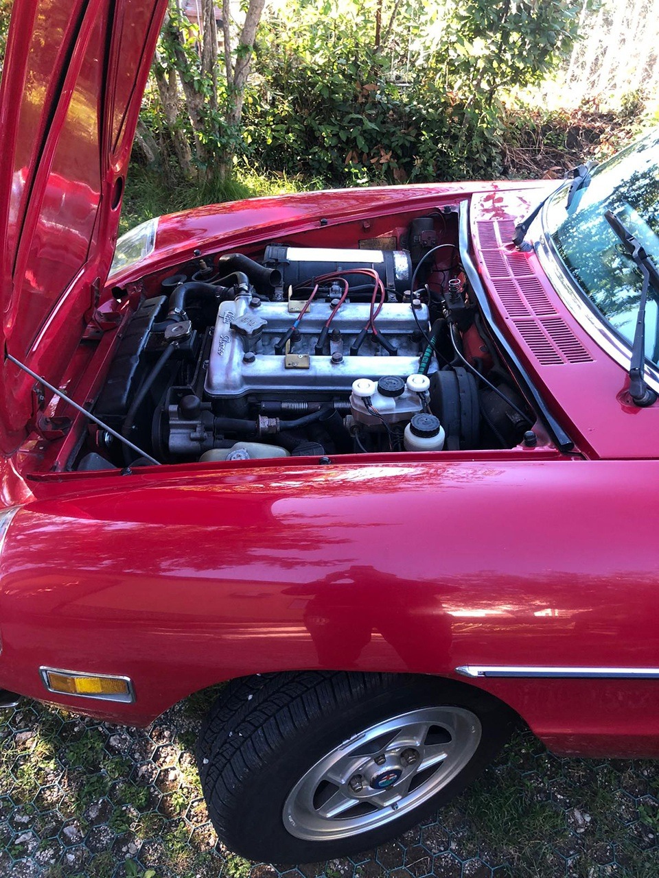 Vintage Fiat 500 tour in Rome - Photo 214
