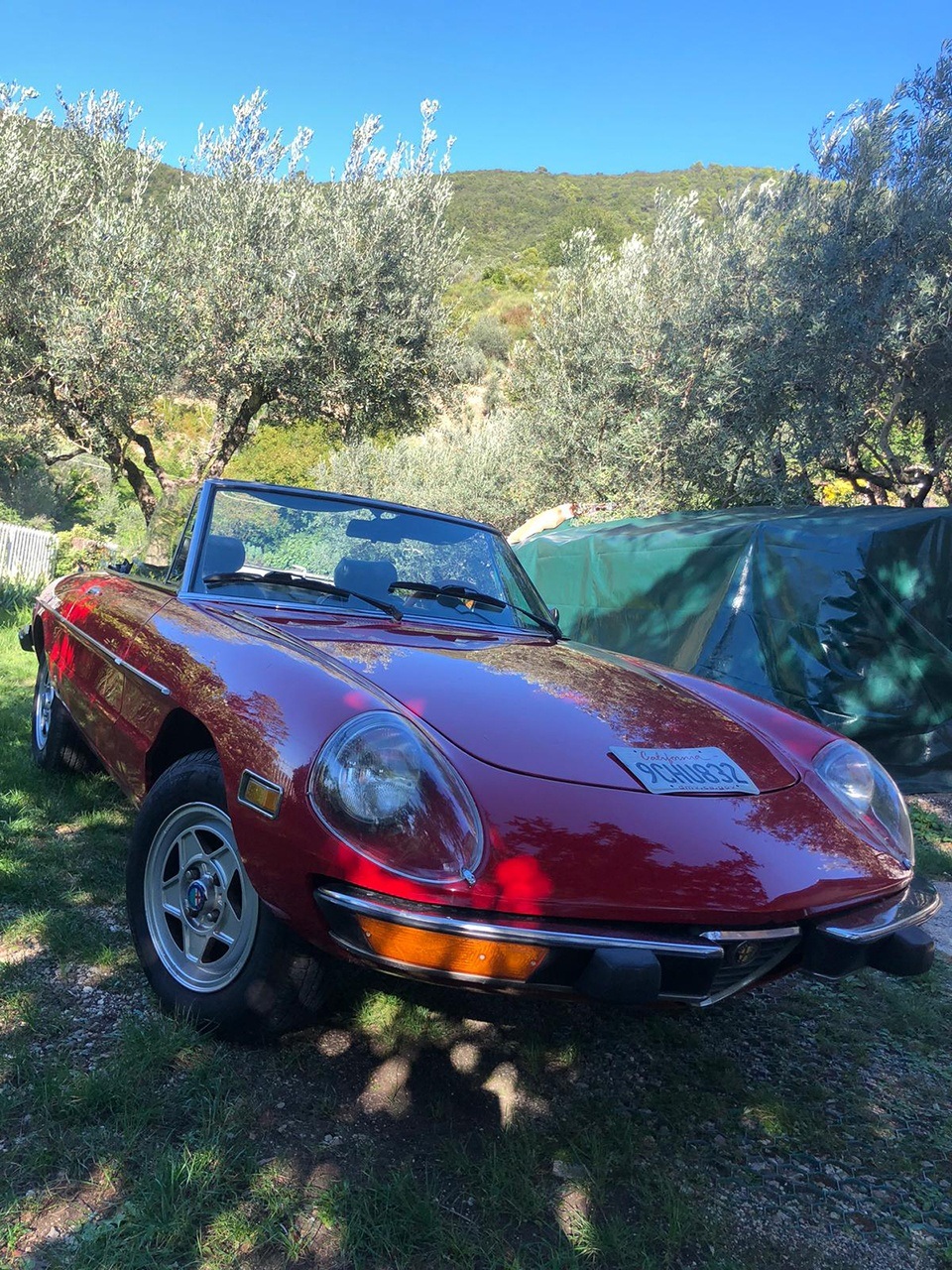 Vintage Fiat 500 tour in Rome - Photo 216